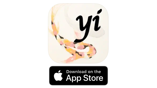 Download The Yi from the App Store